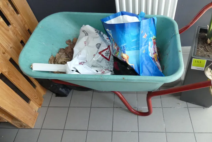 Bild