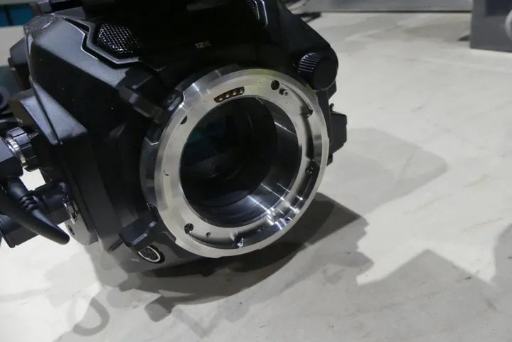Bild