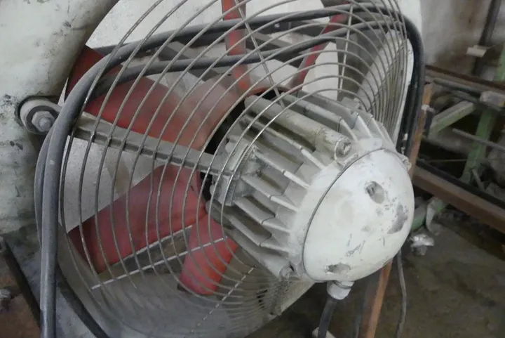 Bild