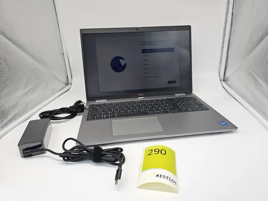 Bild von Los Nr. 290