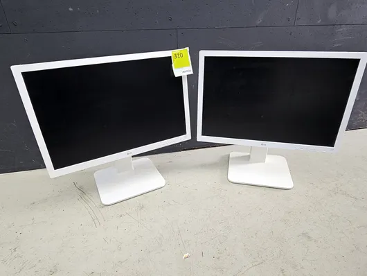 Bild von Los Nr. 310