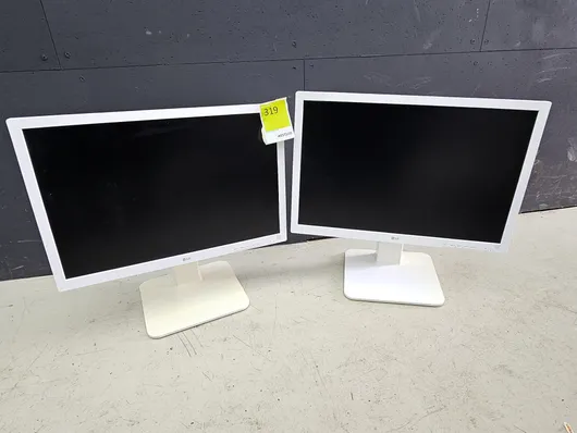 Bild von Los Nr. 319