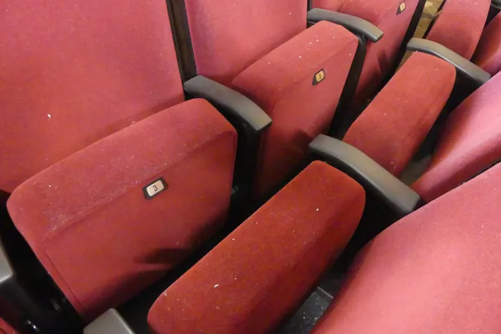 Bild