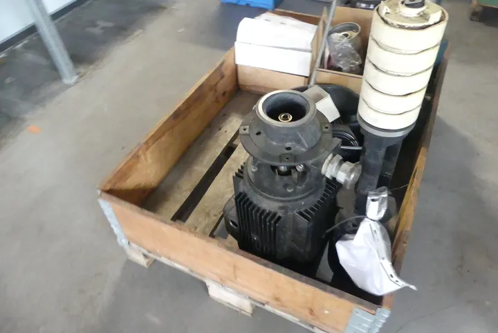 Bild