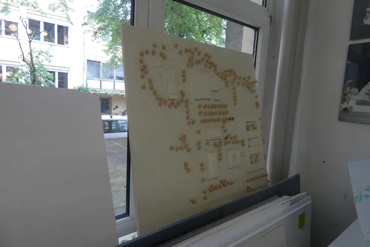 Bild