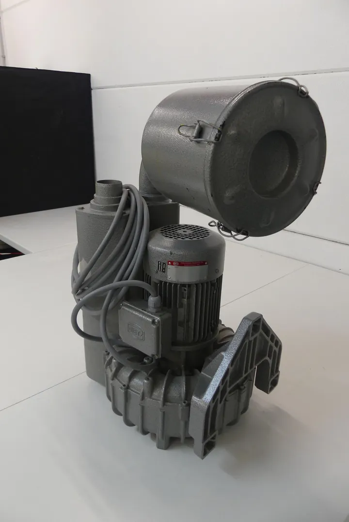 Bild