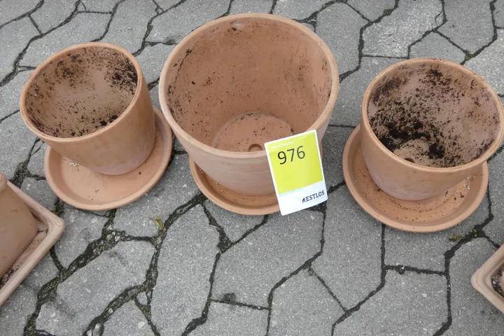 Thumbnail Bild'