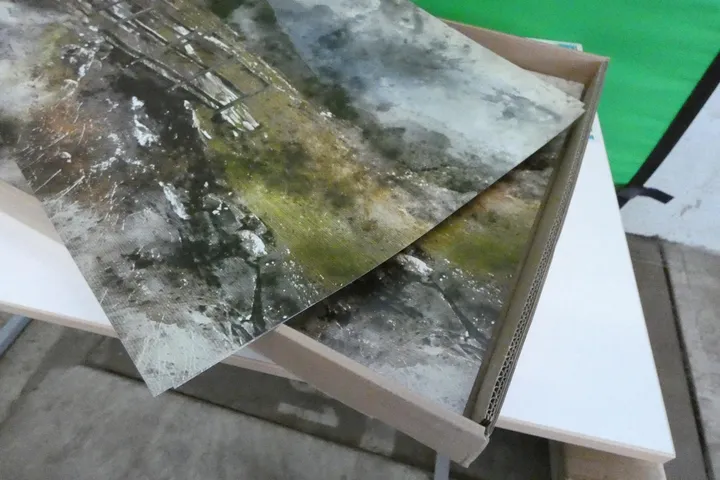 Bild