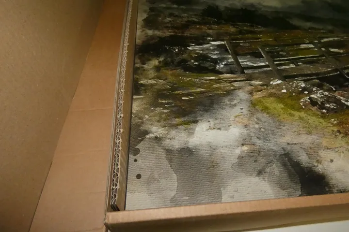 Bild