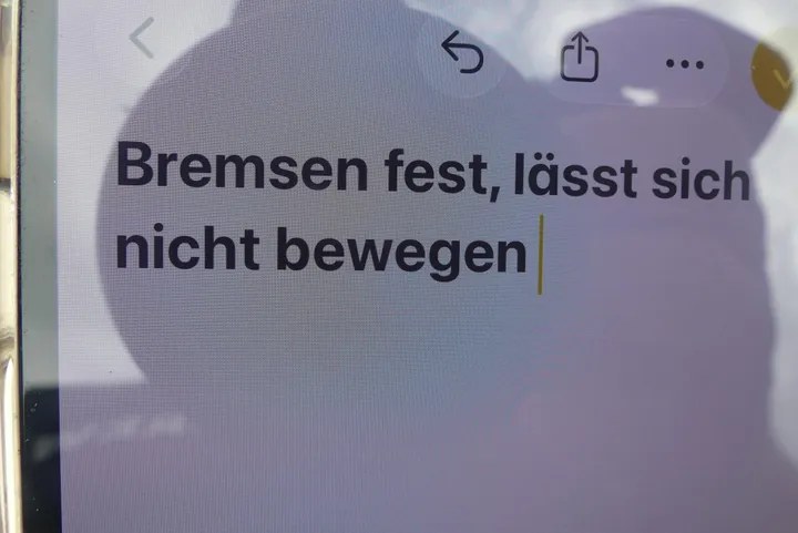 Bild