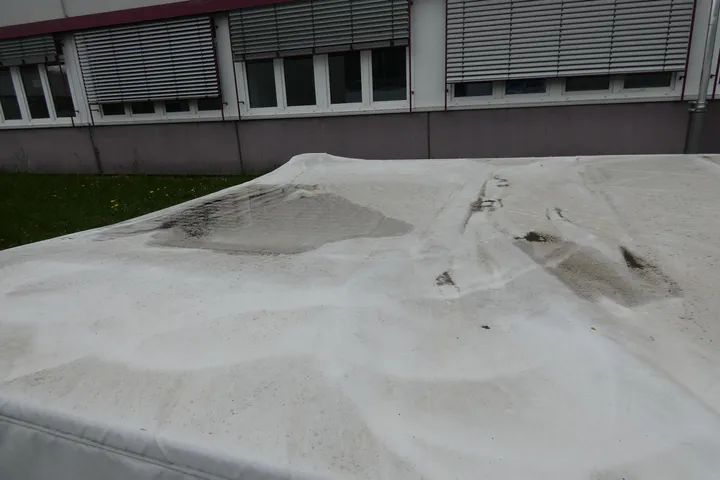 Bild