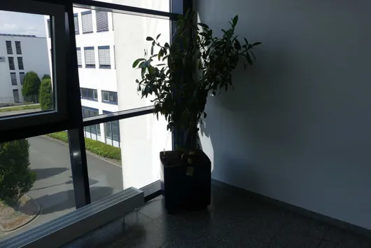 Bild von Los Nr. 261