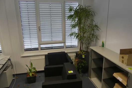 Bild von Los Nr. 411