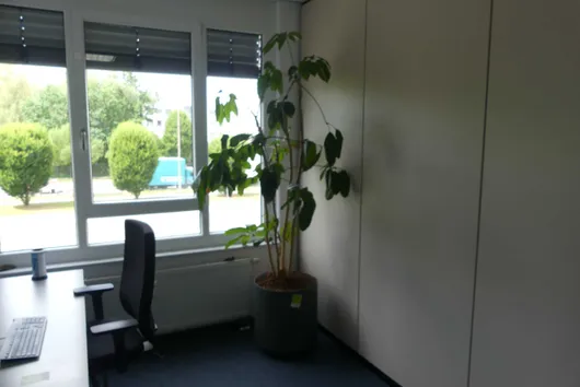Bild von Los Nr. 422