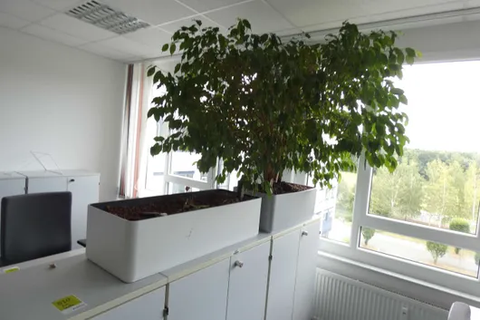 Bild von Los Nr. 609
