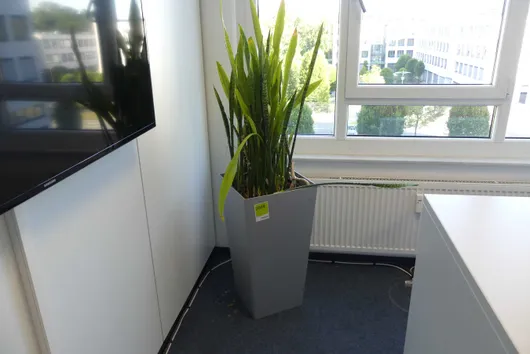 Bild von Los Nr. 2004