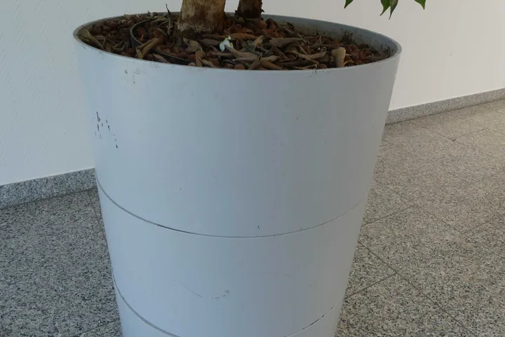 Bild