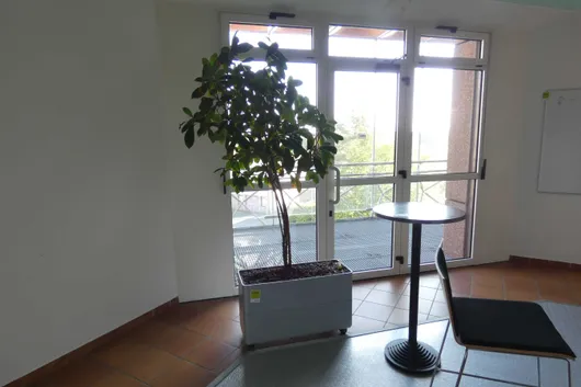 Bild von Los Nr. 2203