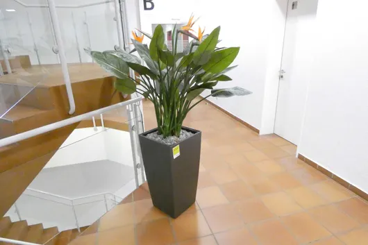 Bild von Los Nr. 2213