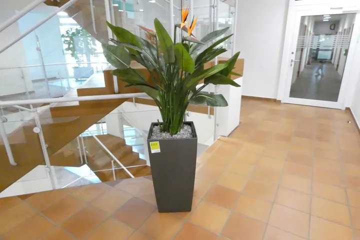 Thumbnail Bild'