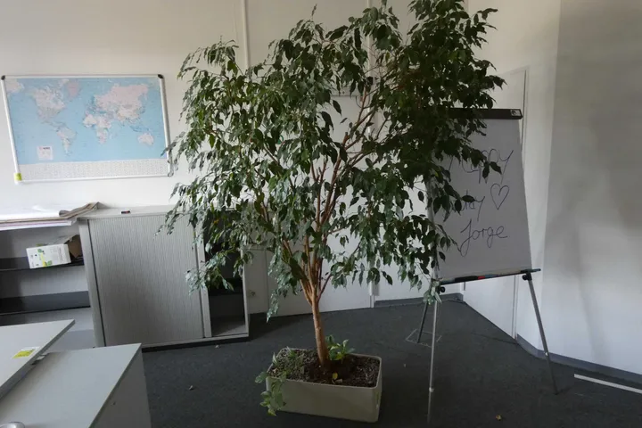 Bild