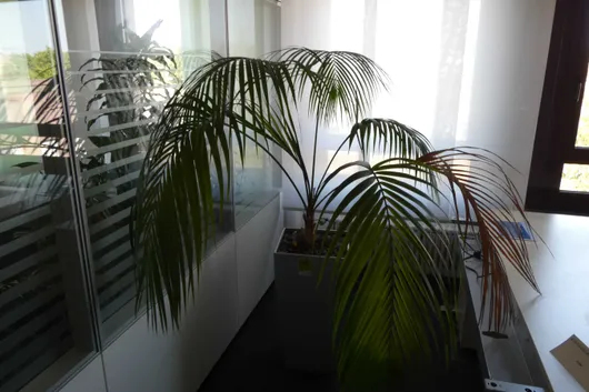Bild von Los Nr. 2246