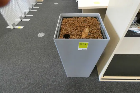 Bild von Los Nr. 2259