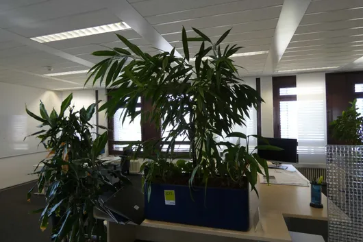Bild von Los Nr. 2273