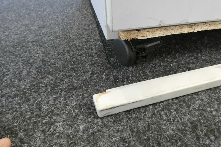 Bild