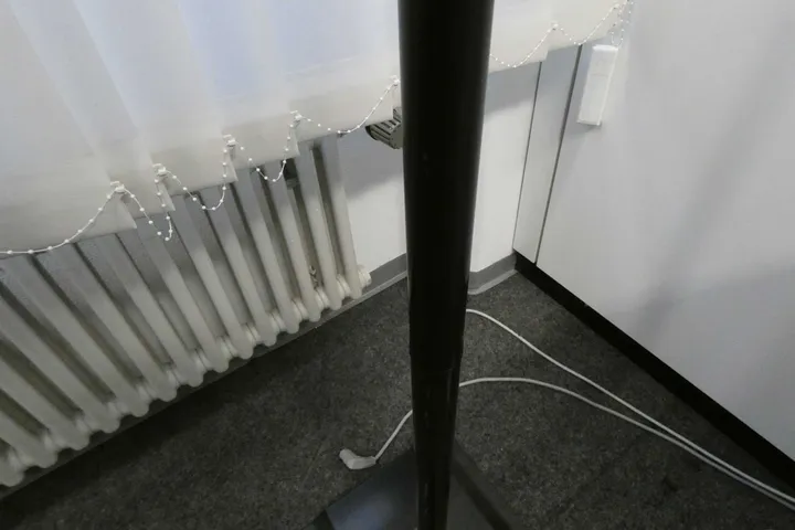 Bild