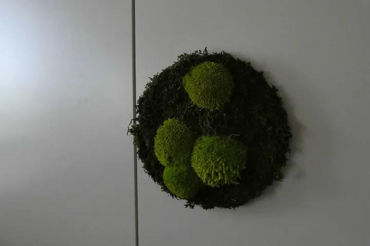 Thumbnail Bild'