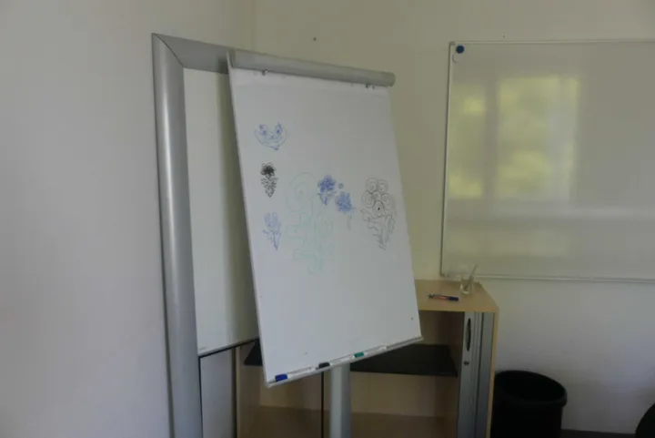 Bild