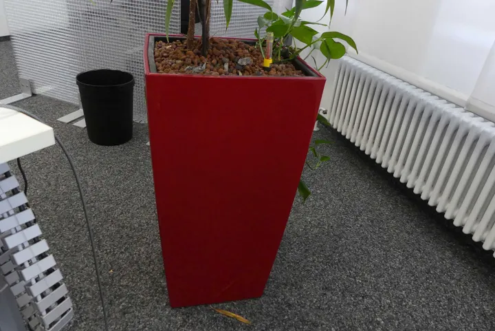 Bild