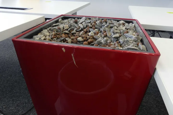 Bild