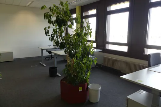 Bild von Los Nr. 3872