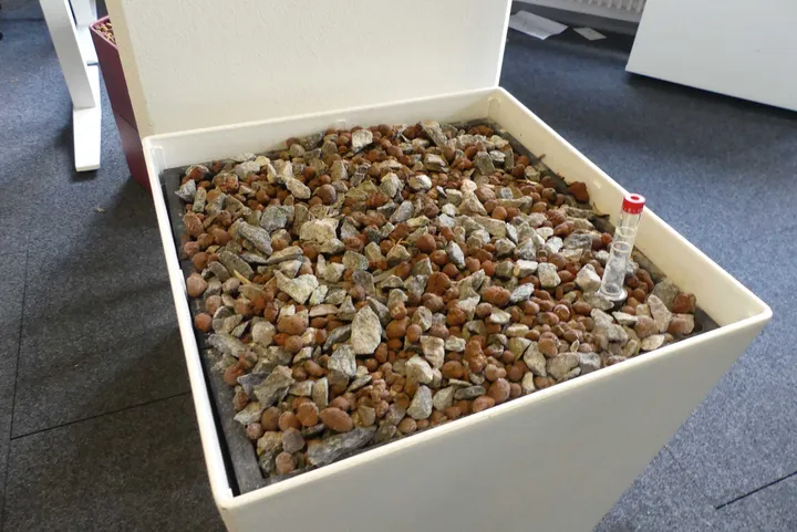 Bild
