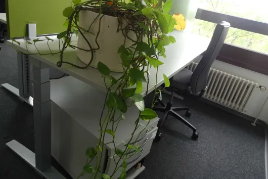 Arbeitsplatzset mit 1x elektrisch höhenverstellbarem Schreibtisch