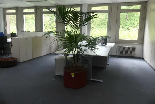 Bild von Los Nr. 43