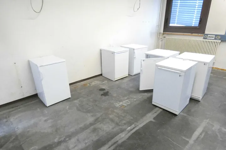 Bild