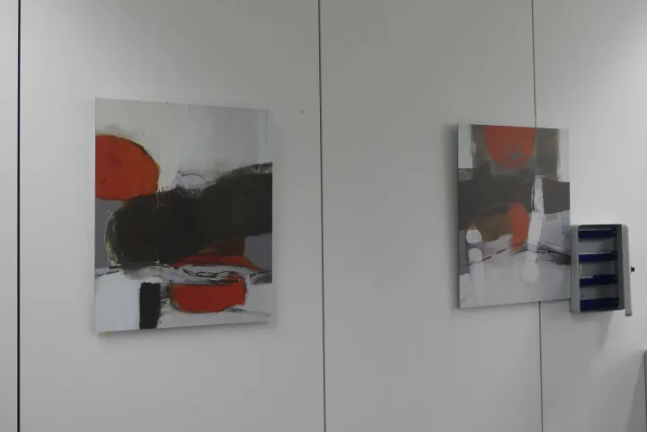 Bild