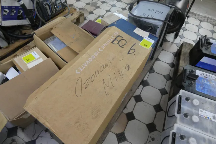 Bild