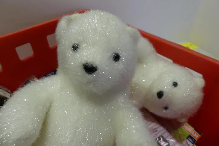 Thumbnail Bild'