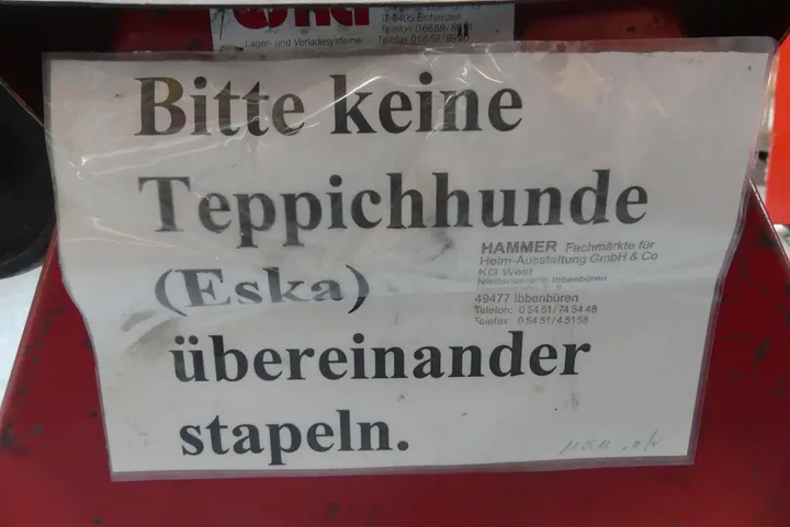Bild