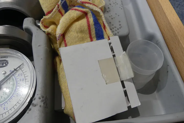Bild