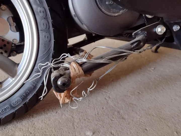 Bild