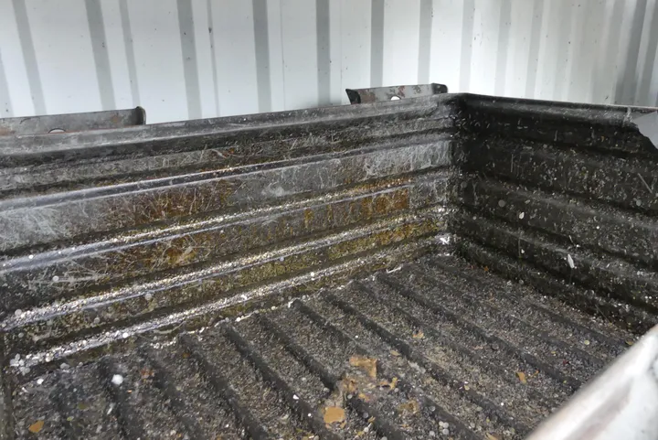 Bild