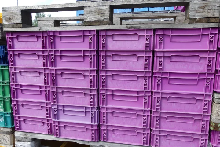 Bild