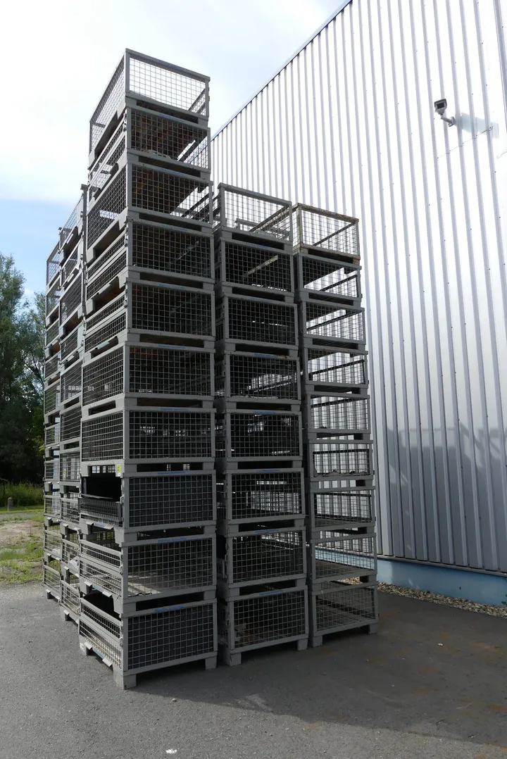 Bild