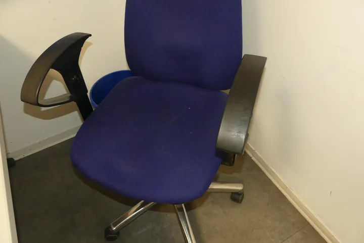 Bild