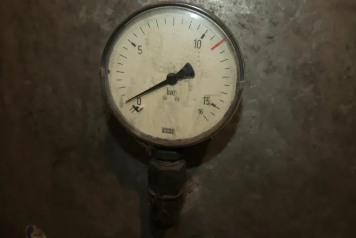 Bild